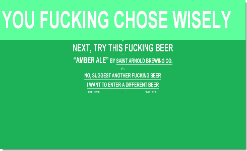 SHOULD_I_DRINK_THIS_FUCKING_BEER-richtig-copy