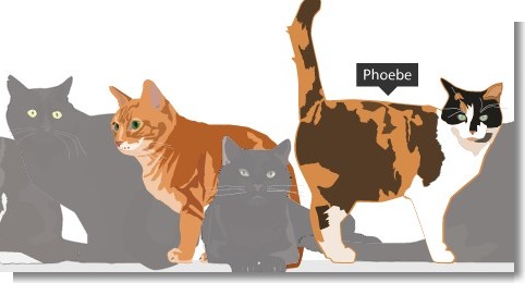 BBC-untersucht-katzenverhalten
