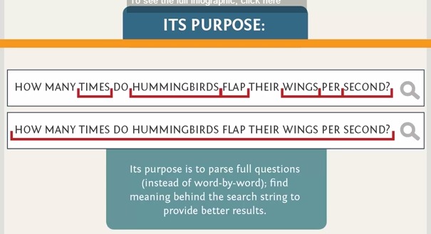 Google Hummingbird: neuer Algorithmus bei der Suche